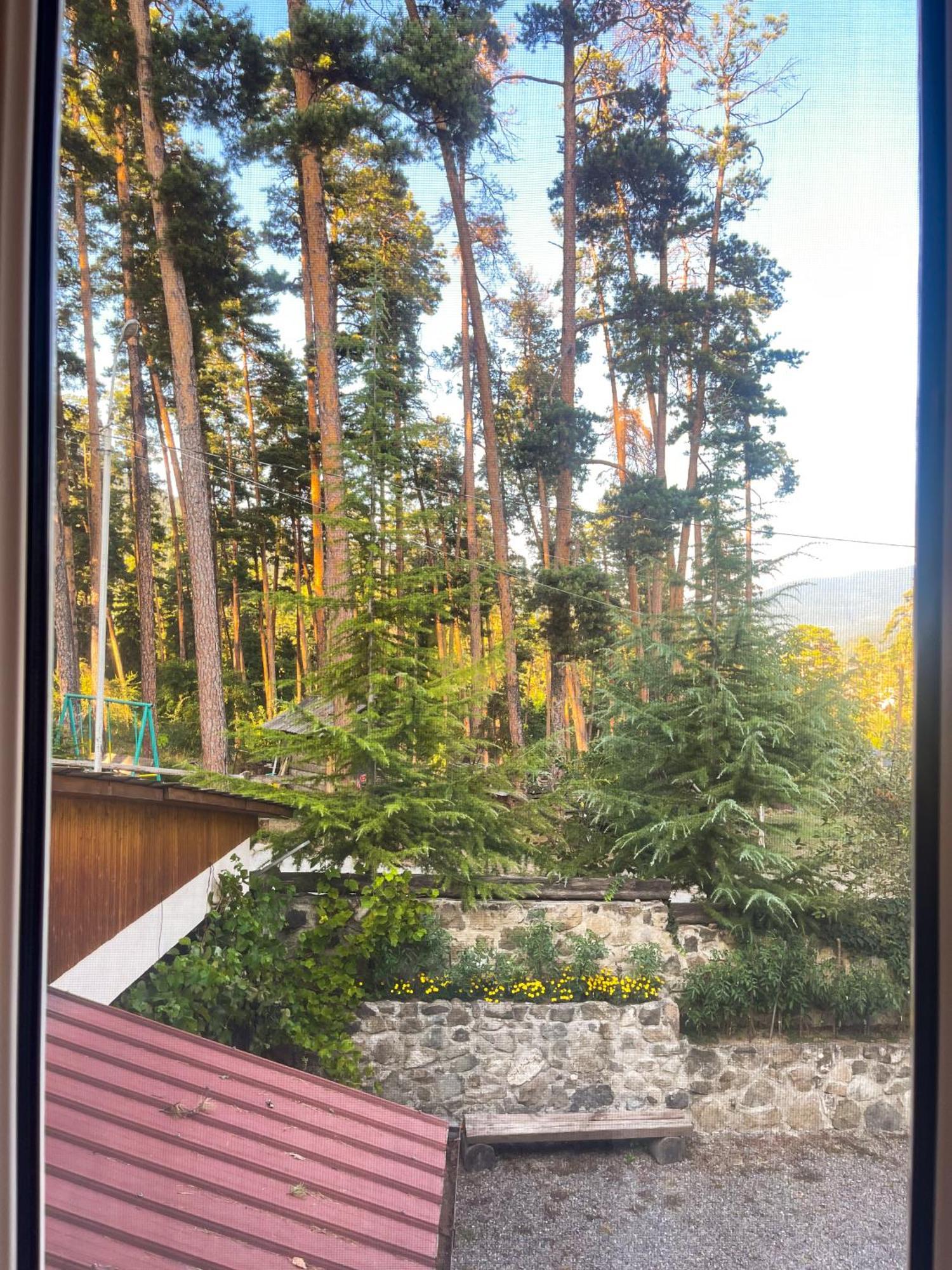 Гостевой дом На Месхети Боржоми Номер фото
